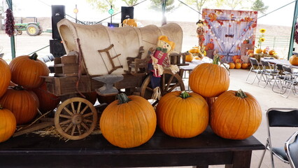 Adornos en mesa con calabazas