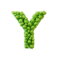 Letter Y made from a virus flu and germ molecule. 3D Rendering