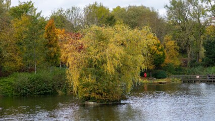 autumn landscape with trees and water