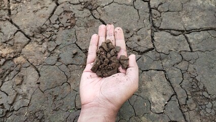Farmer hand holding and checking dryness in damaged, dry, broken, rough and cracked black soil of outdoor barren, arid, wasteland or parched land ground earth floor surface. Closeup flat lay top view.