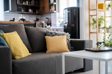Modern apartment interior. Living room sofa with yellow cushions and kitchen in the background. Empty apartment.