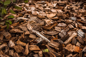 hundreds of wood chips create a very fascinating texture