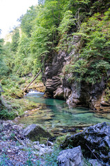 Vintgar Gorge in Slovenia