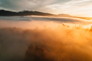 Fototapeta na wymiar Foggy forest with sun rays. Top view from drone of mountain valley in low clouds. Aerial view of mountain peak with green trees in fog