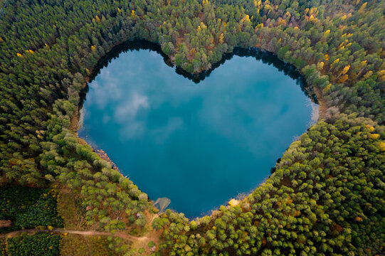 Wonderful heart shape lake surrounded by trees and nature in the middle of the forest. Concept of earth day, environment and ecology, love.