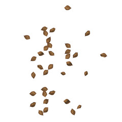 Top view of Plant (Dry tree leaves 4) Tree png