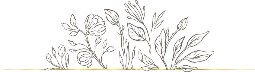 Floral divider frame wedding live nature beauty flowers 