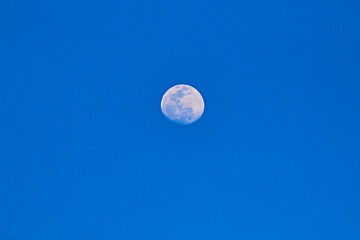 moon in the day with blue sky 