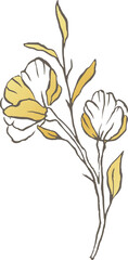 Fototapeta na wymiar Magnolia gold flower line vector logo elegant wedding delicate floral nature wildflower 