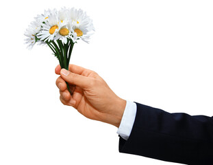 Gesture series: hand hands over a bouquet of flowers with daisies. - 541315875