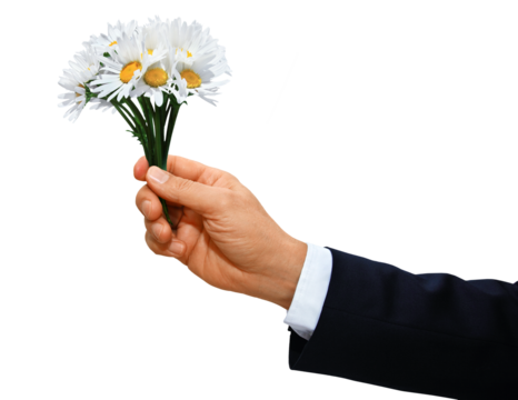 Gesture series: hand hands over a bouquet of flowers with daisies.