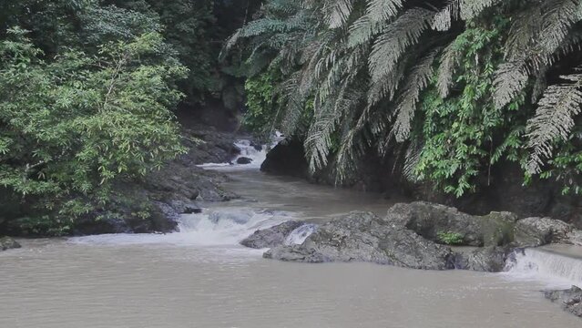 Stream in the Tabin Wildlife Reserve Malaysia