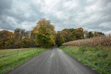 Fototapeta na wymiar Blacktop country road through trees and near a corn field in the fall | Holmes County, Ohio