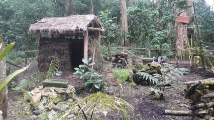 Choza en medio del bosque