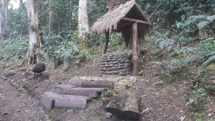 Poso en el bosque de los arrayanes