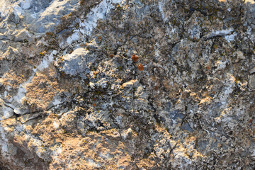 New abstract design white background with unique marble, ceramic, texture, attractive textures.