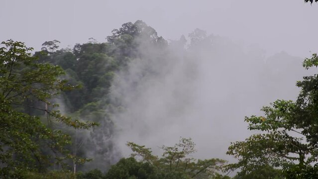 Tabin Wildlife Reserve
