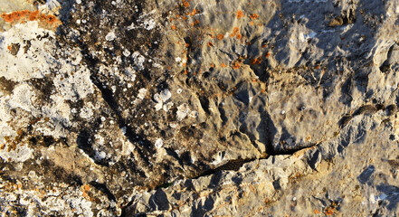 stone wall background