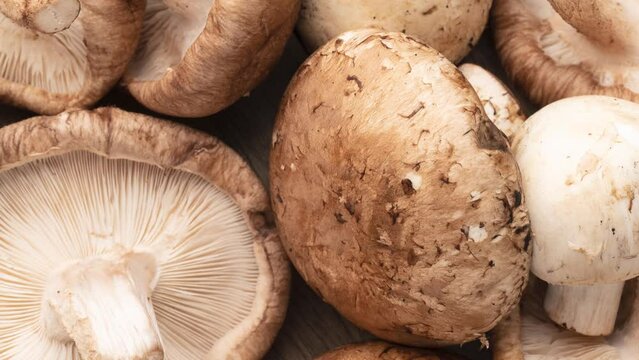 Shitake, portobello and paris mushrooms over wooden table