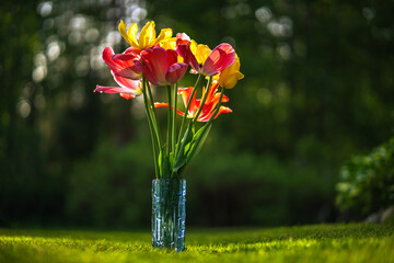 Fototapety na wymiar - Fototapeta24.pl