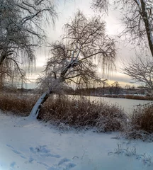 Foto auf Leinwand Winter snowy landscape of nature under the first snow © Андрій Данилюк