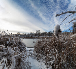 Winter snowy landscape of nature under the first snow