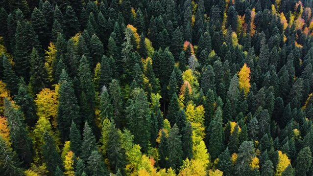 Racha, Autumn, Fairytale, Georgia, Colorful, 