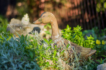 Decorative duck in the garden