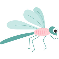 Cute dragonfly. Winged Insect