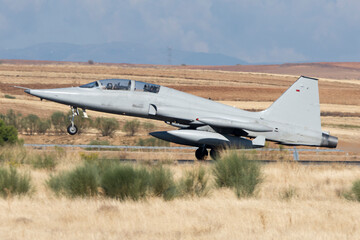 Fototapeta na wymiar Avión de combate biplaza aterrizando F-5