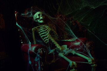 skeleton in old castle