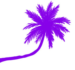 Fototapeta na wymiar Coconut palm tree silhouette tropical sunset paradise doodle illustration