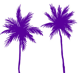 Coconut palm tree silhouette tropical sunset paradise doodle illustration