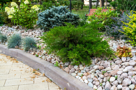 Evergreen thuja, pine trees, hydrangea and rhododendron with barberry on sunny summer day are planted among stones along tiled sidewalk in landscape design at city park