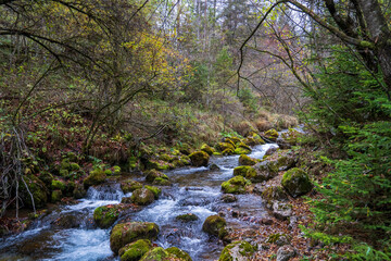 Torrente di montagna