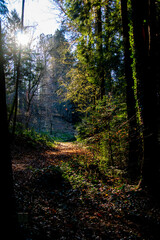 Balade dans la campagne limousine