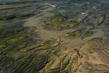texture coastline with stones