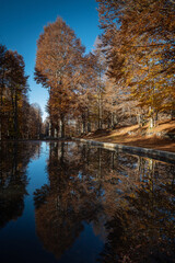 Foliage a Monte Livata - Campo dell'Osso - Subiaco - Roma - Italia