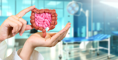 Health of intestine tract. Model intestine in hands of woman. Human intestine on background of...