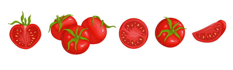 Set of ripe tomato fruits and pieces of juicy vegetable.Vector graphics.