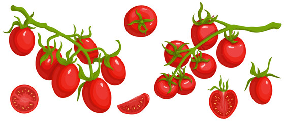 Set of ripe cherry tomato fruits and slices of juicy vegetable.Vector graphics.