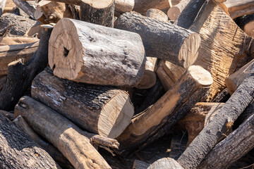 harvesting firewood, sawn tree trunks wooden logs. wood is dried preparing for winter for heating. 
