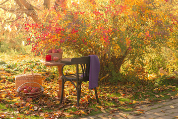 Autumn garden on a sunny day. Tea drinking in the garden.