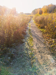 Autumn sunset in suburbs near woods. Bright sunlight on fields with grass in frost. Late fall landscape.