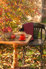 Autumn garden on a sunny day. Tea drinking in the garden.