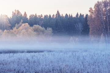 Fog above the meadow at autumn morning.