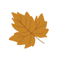 Hand drawing maple leaves in autumn PNG 