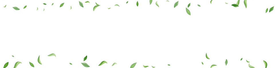 Lime Greens Blur Vector Transparent Panoramic