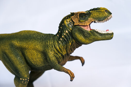Tyrannosaurus Rex. T-Rex is a genus of large theropod dinosaur. 