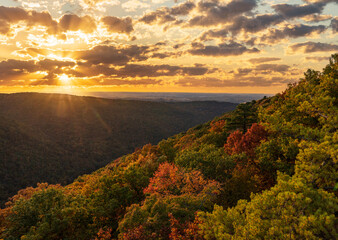 Sun setting behind clouds illuminating the fall colors of the trees in Coopers Rock State Forest